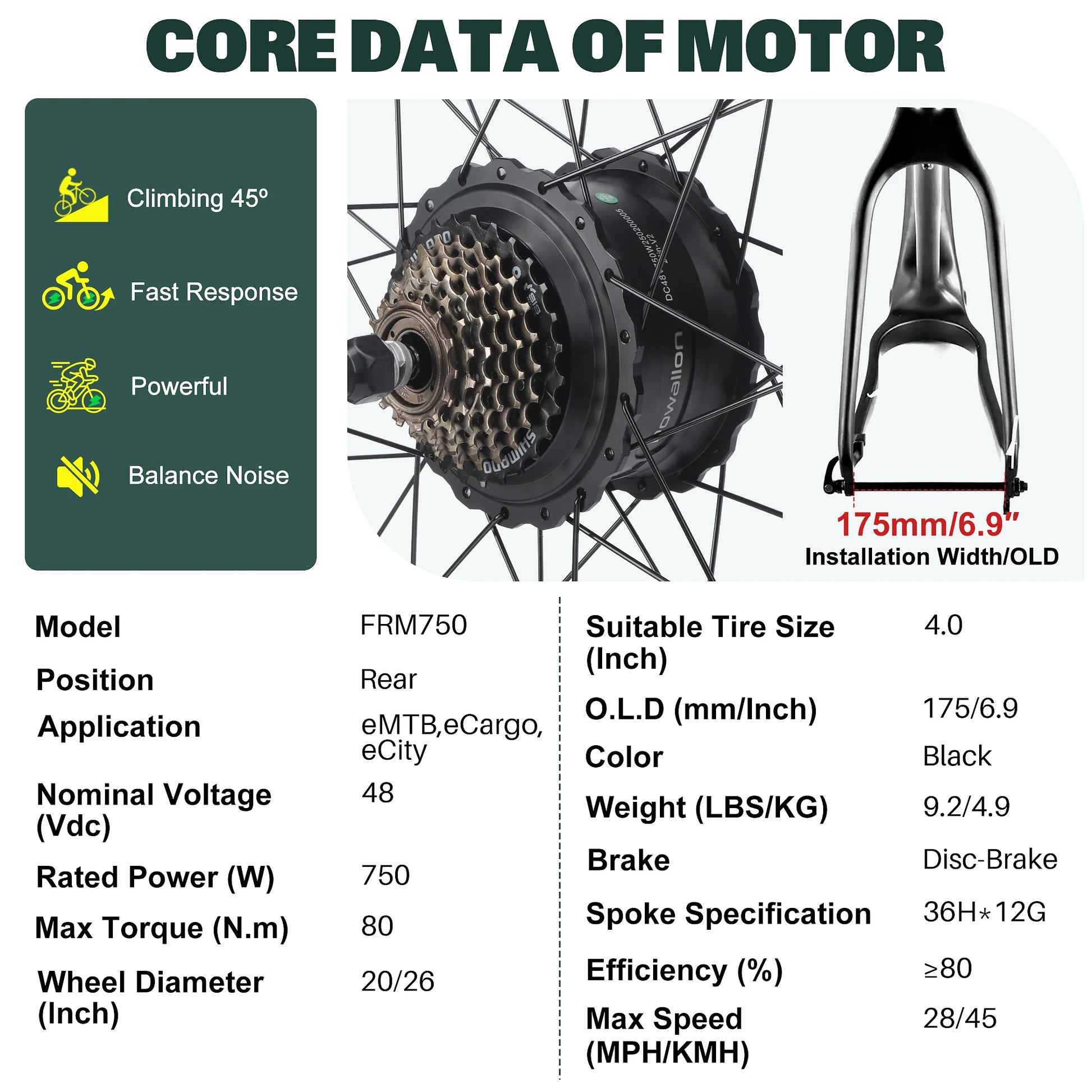 Fat Tire Electric Bike Conversion Kit - 20"/26" 750W Rear Hub Motor E-Bike Complete Kit, Cruise Control & Multi-Drive Mode